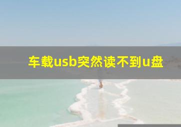 车载usb突然读不到u盘