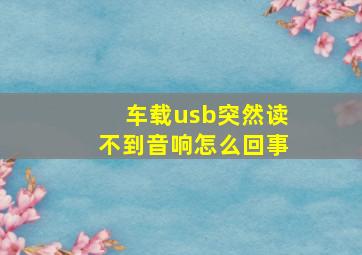 车载usb突然读不到音响怎么回事