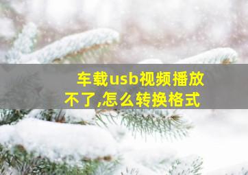 车载usb视频播放不了,怎么转换格式