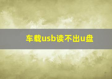 车载usb读不出u盘