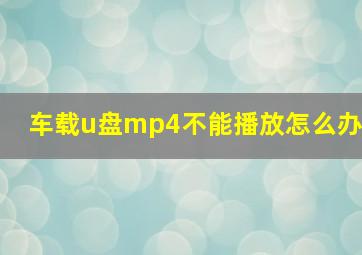 车载u盘mp4不能播放怎么办