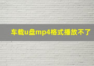 车载u盘mp4格式播放不了