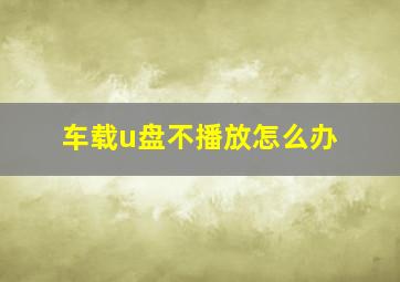 车载u盘不播放怎么办