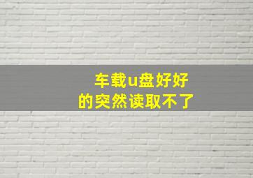 车载u盘好好的突然读取不了