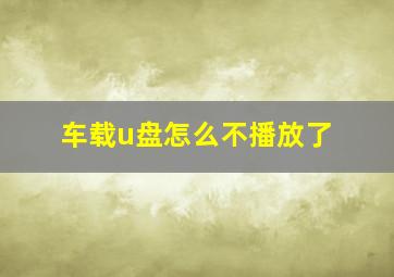 车载u盘怎么不播放了