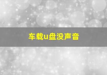 车载u盘没声音