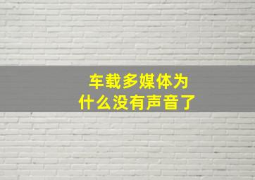 车载多媒体为什么没有声音了