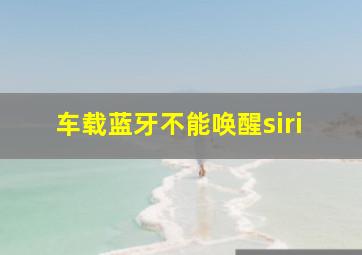 车载蓝牙不能唤醒siri