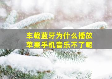 车载蓝牙为什么播放苹果手机音乐不了呢