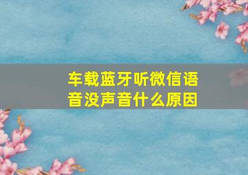 车载蓝牙听微信语音没声音什么原因