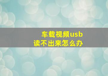 车载视频usb读不出来怎么办