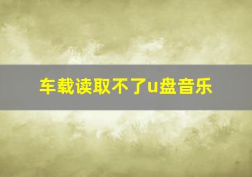 车载读取不了u盘音乐