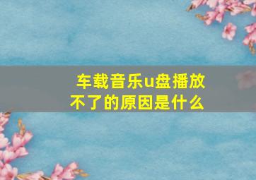 车载音乐u盘播放不了的原因是什么