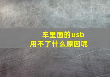 车里面的usb用不了什么原因呢