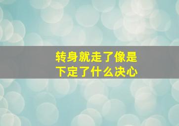 转身就走了像是下定了什么决心