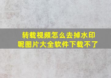 转载视频怎么去掉水印呢图片大全软件下载不了