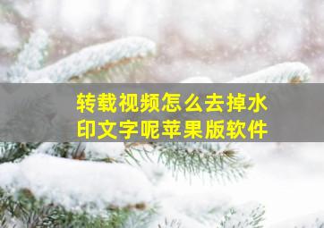 转载视频怎么去掉水印文字呢苹果版软件