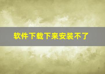 软件下载下来安装不了