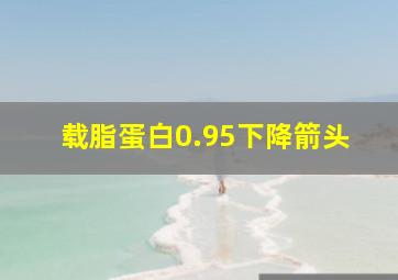 载脂蛋白0.95下降箭头