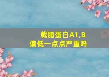 载脂蛋白A1,B偏低一点点严重吗