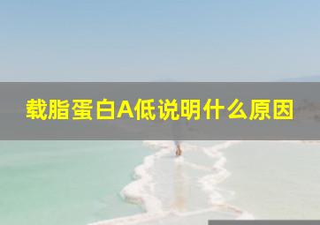 载脂蛋白A低说明什么原因