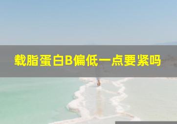 载脂蛋白B偏低一点要紧吗