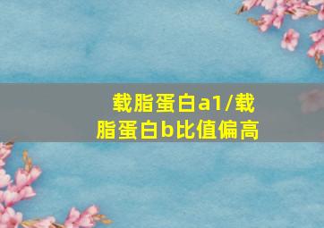 载脂蛋白a1/载脂蛋白b比值偏高