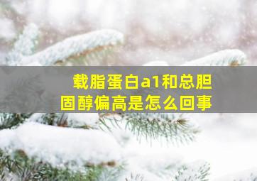 载脂蛋白a1和总胆固醇偏高是怎么回事