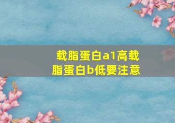 载脂蛋白a1高载脂蛋白b低要注意