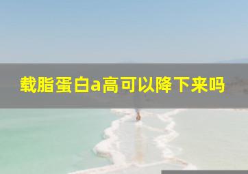 载脂蛋白a高可以降下来吗