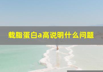 载脂蛋白a高说明什么问题