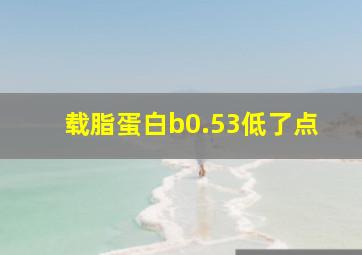 载脂蛋白b0.53低了点