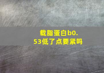 载脂蛋白b0.53低了点要紧吗