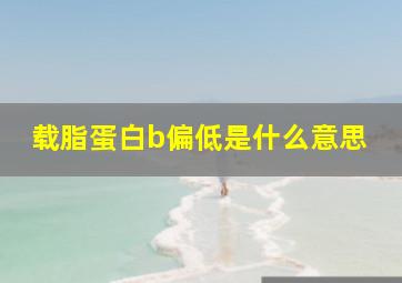 载脂蛋白b偏低是什么意思