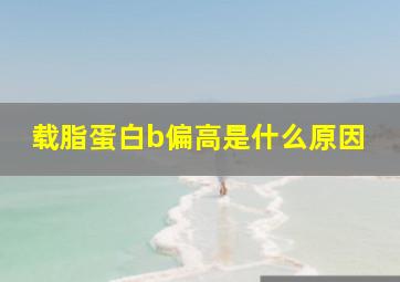 载脂蛋白b偏高是什么原因