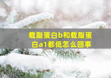 载脂蛋白b和载脂蛋白a1都低怎么回事