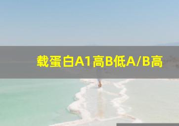 载蛋白A1高B低A/B高