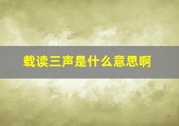 载读三声是什么意思啊