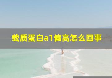 载质蛋白a1偏高怎么回事