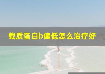 载质蛋白b偏低怎么治疗好