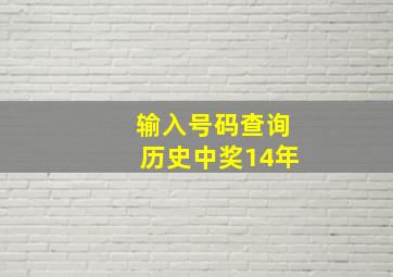 输入号码查询历史中奖14年