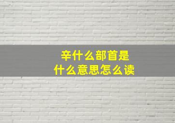 辛什么部首是什么意思怎么读