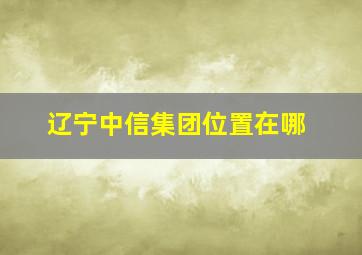 辽宁中信集团位置在哪