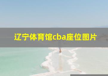 辽宁体育馆cba座位图片