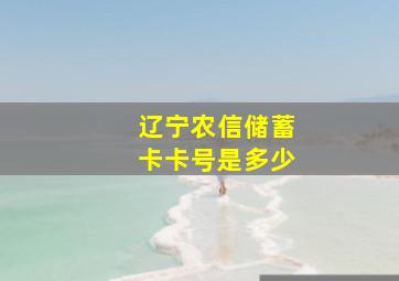 辽宁农信储蓄卡卡号是多少