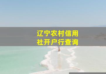 辽宁农村信用社开户行查询