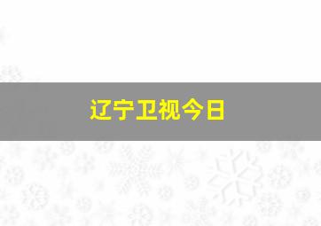 辽宁卫视今日