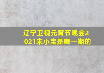 辽宁卫视元宵节晚会2021宋小宝是哪一期的