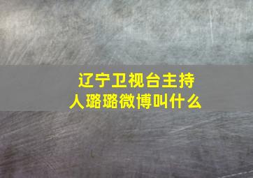 辽宁卫视台主持人璐璐微博叫什么