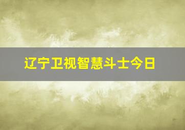 辽宁卫视智慧斗士今日